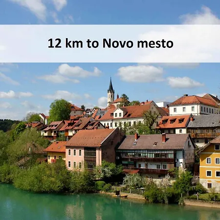 In Kranjska Krain 42907 * Otocec