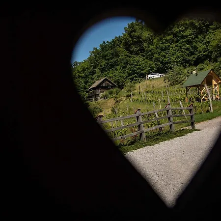 In Kranjska Krain 42907 * Otocec