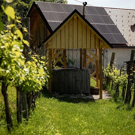 In Kranjska Krain 42907 *