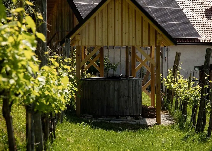 In Kranjska Krain 42907 *